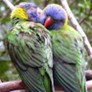 Meet your Posher, Sarah genevieve